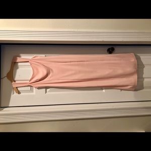 Fame and Partners Pale Pink custom made dress